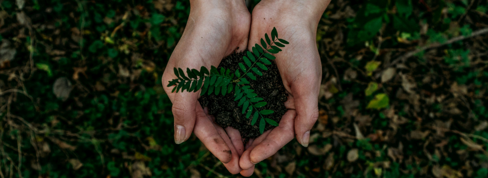 Por meio da tecnologia blockchain é possível  avaliar empresas com base em critérios diferentes de aspectos de compliance socioambiental