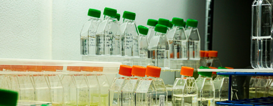Com a rastreabilidade química é possível disponibilizar informações como o uso de agrotóxicos, a ocorrência de doenças, a dosagem de insumos, a localização dos talhões, entre outras.