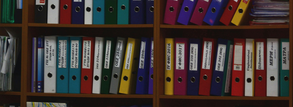 Auditabilidade dos processos licitatórios