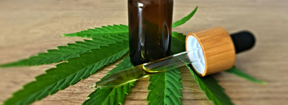 Assinatura de cannabis medicinal