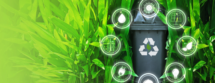 Descubra como o selo ambiental baseado em blockchain assegura autenticidade e transparência na produção agrícola sustentável do Nordeste