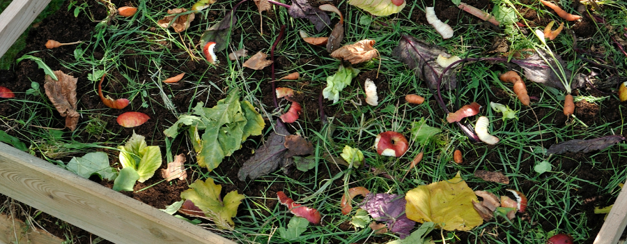 Saiba como a compostagem rastreável, aliada ao blockchain e à IA, valida processos ambientais e gera créditos de carbono.