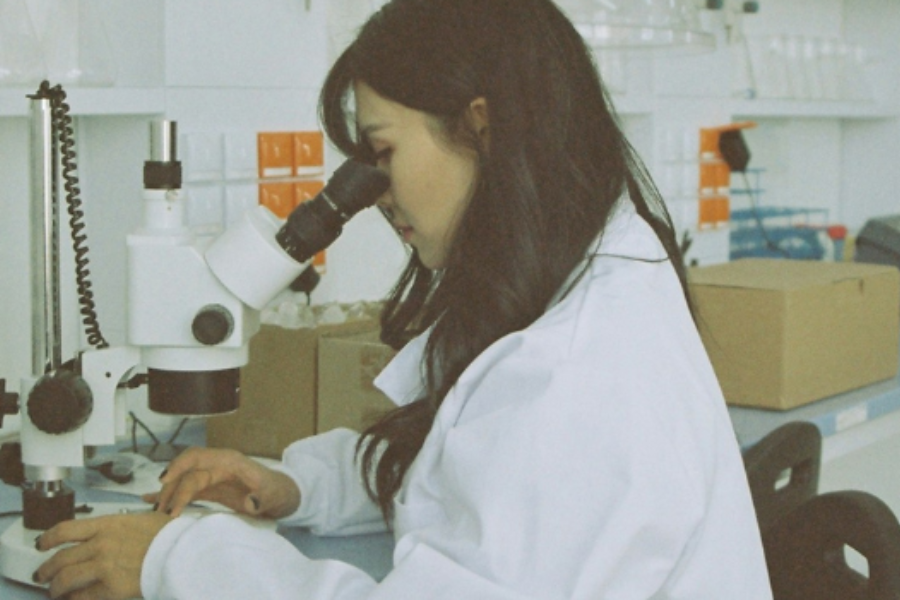 Armazenamento de dados de pesquisa