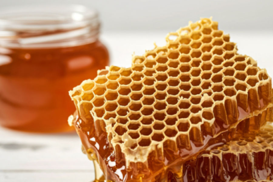 Blockchain na cadeia do mel orgânico brasileiro