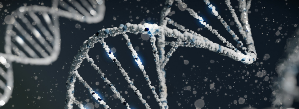 Tokenização de ativos biológicos: embriões e materiais genéticos