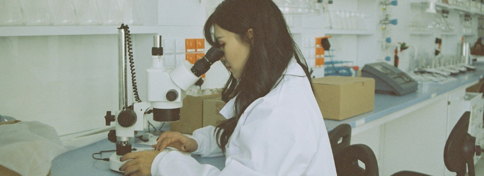 Armazenamento de dados de pesquisa