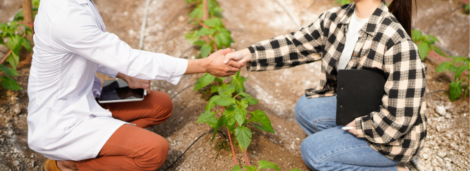 Blockchain aplicado à cooperativas