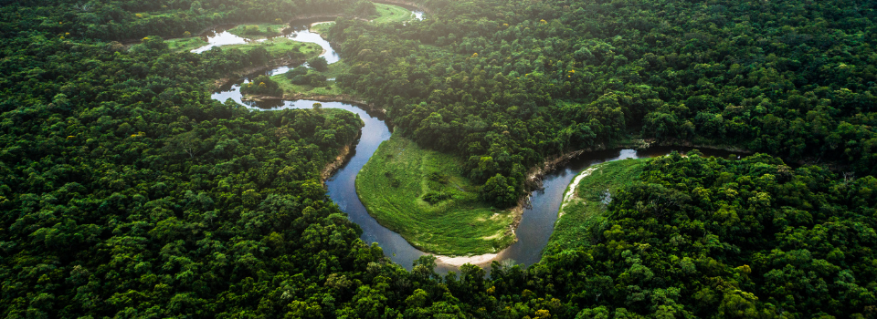 Financiamento de conservação de biomas