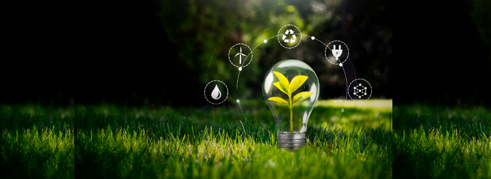 Monitoramento ambiental