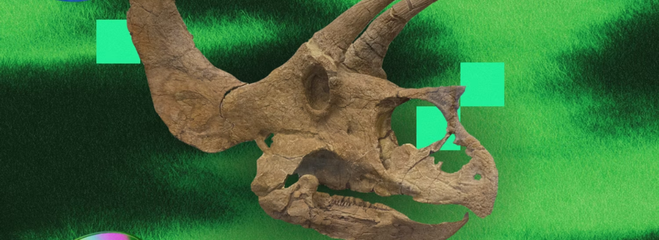 Dinossauro tokenizado