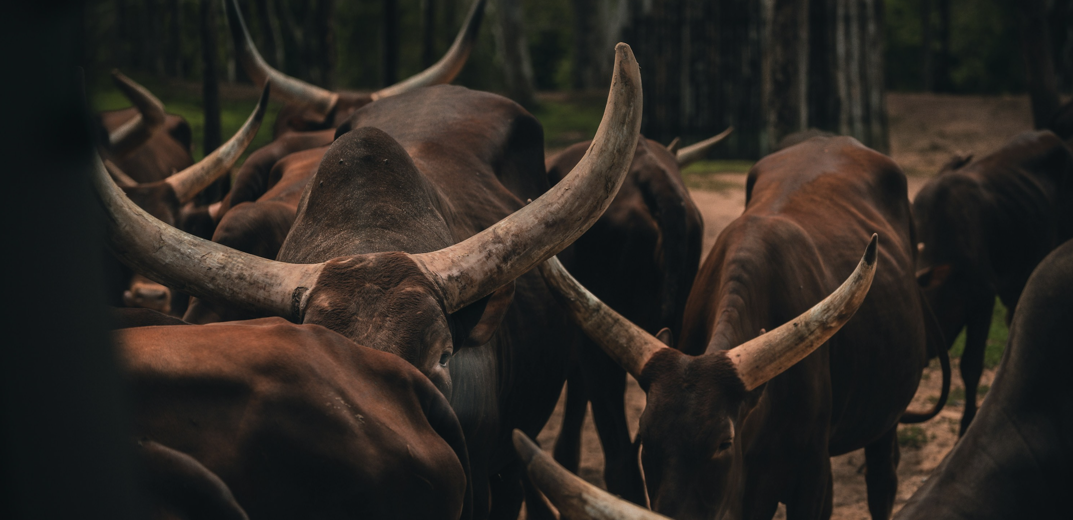 Imagem: Unsplash