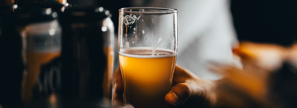 rastreabilidade da cerveja